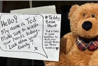 Teddies in the Window - Bear Hunt for Children