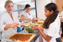 Report recommends Hot School Meals universal by 2030