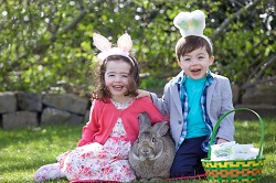 Easter Fun at Dublin Zoo